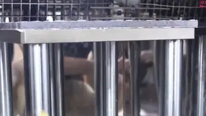 Drop Weight Impact Testing Machine for Composites